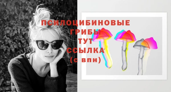 ПСИЛОЦИБИНОВЫЕ ГРИБЫ Алексеевка