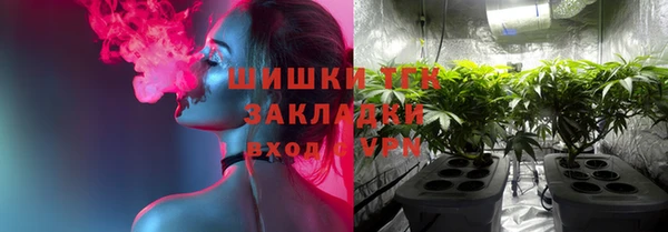 ПСИЛОЦИБИНОВЫЕ ГРИБЫ Алексеевка