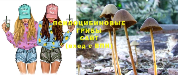 дурь Алексин