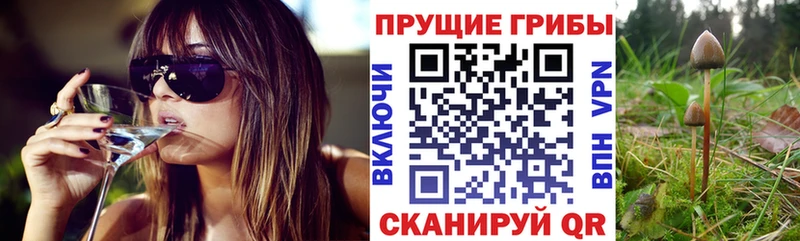 кракен ссылки  Наволоки  Галлюциногенные грибы мицелий 